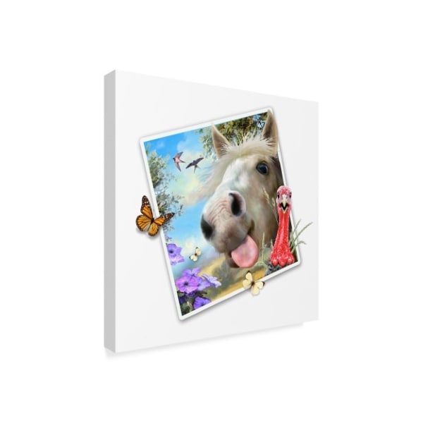 Howard Robinson 'Horse Photograph' Canvas Art,35x35